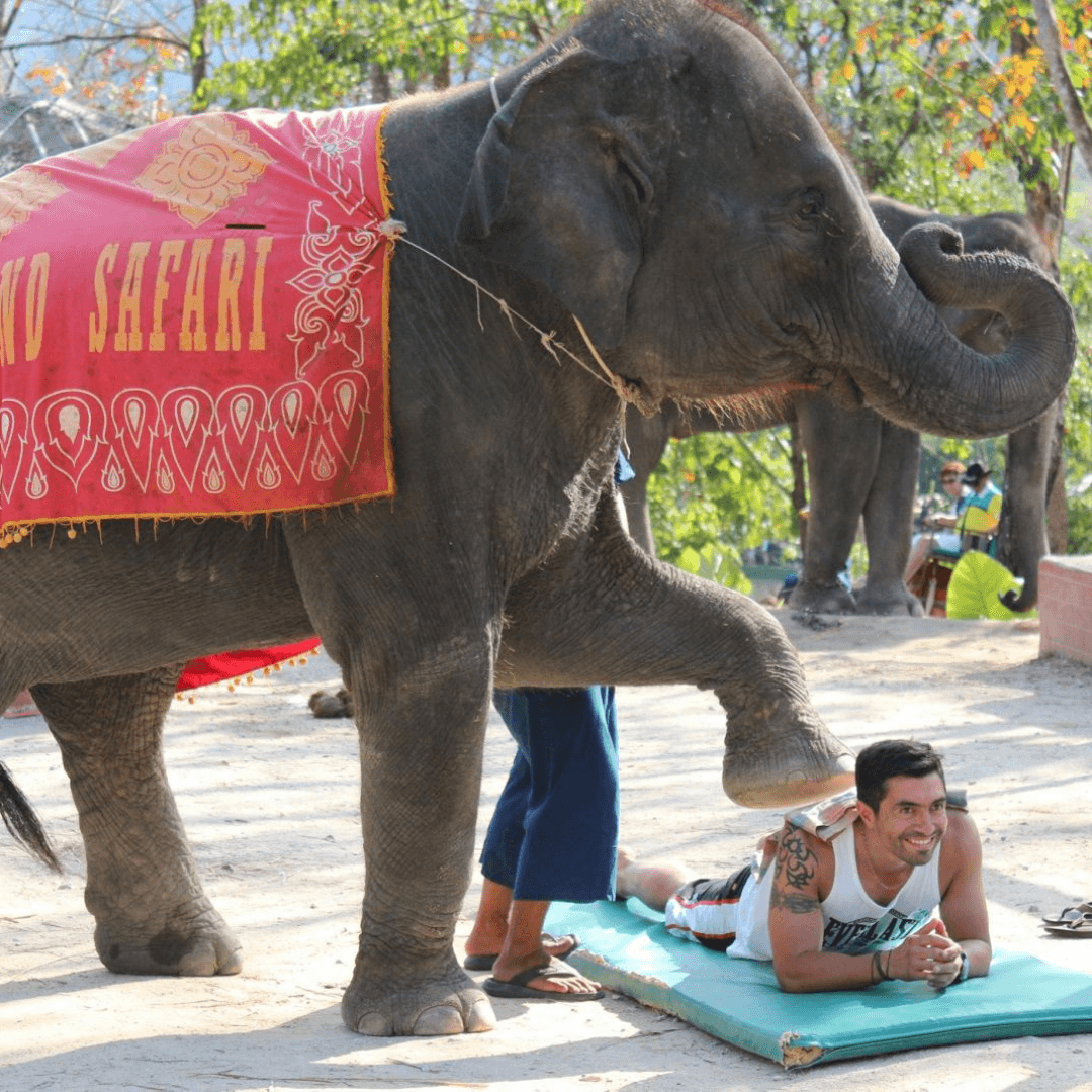 Health & Beauty Show