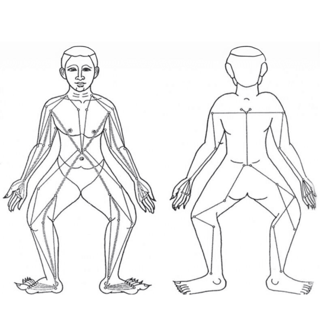 Le Linee Energetiche