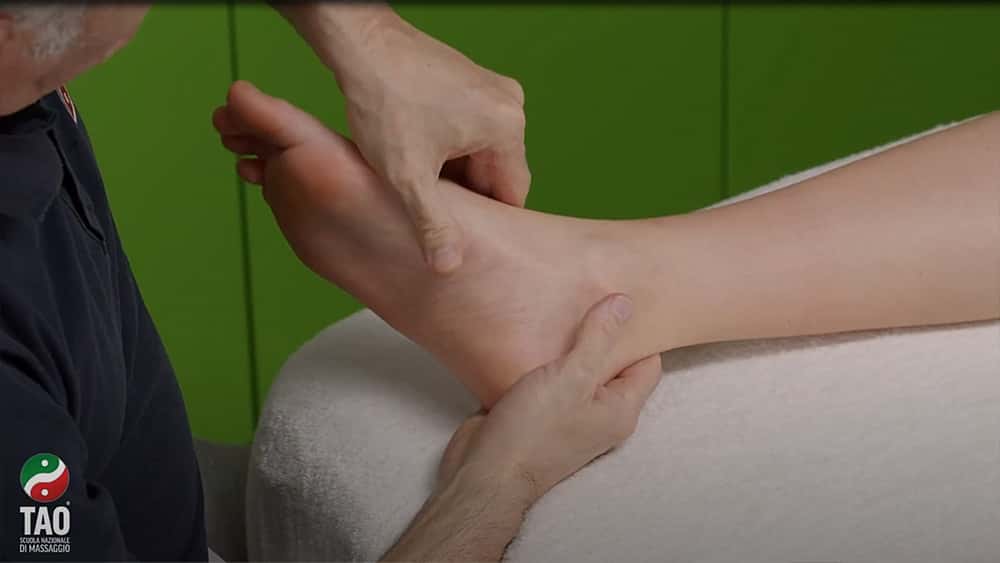 Video corso di massaggio olistico plantare