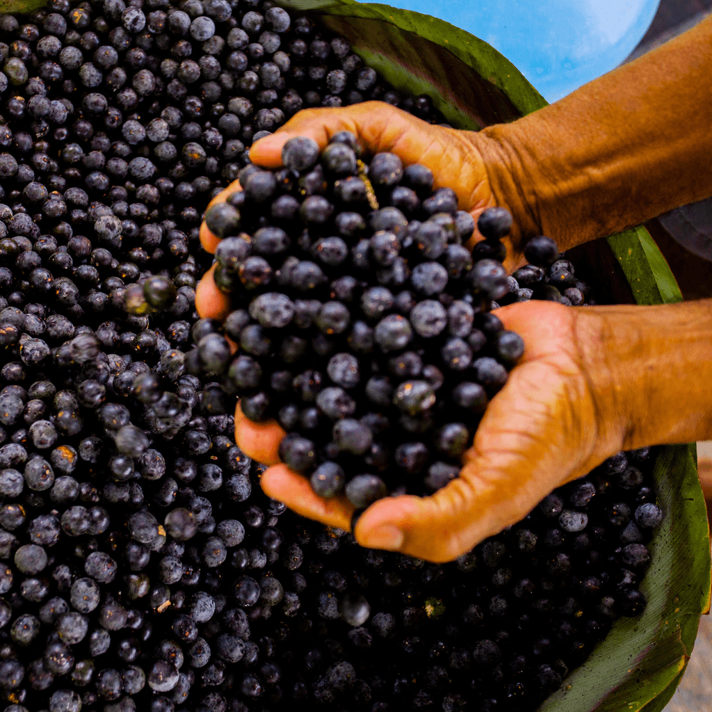 Olio di Açai