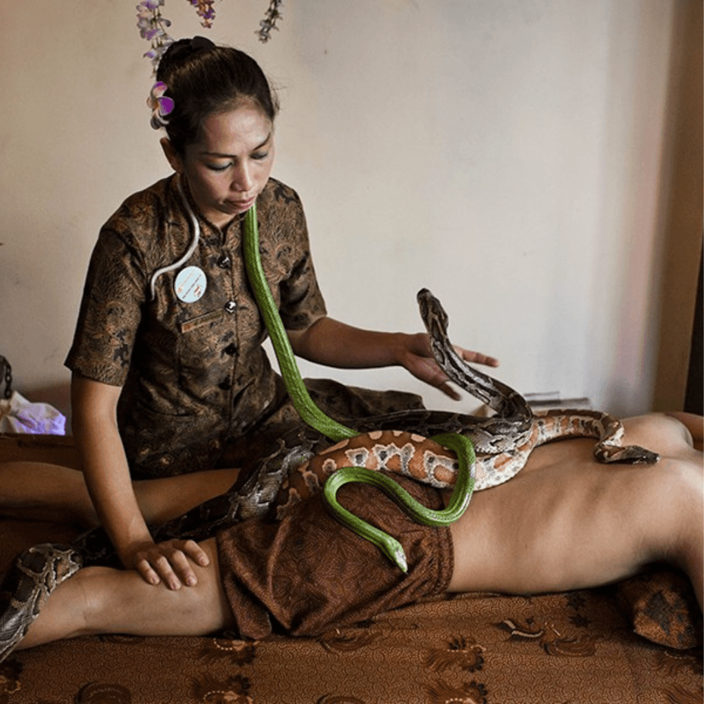 Massaggio con i Serpenti