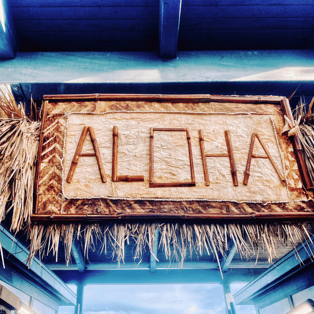  Il Concetto di Aloha e di Ho'oponopono