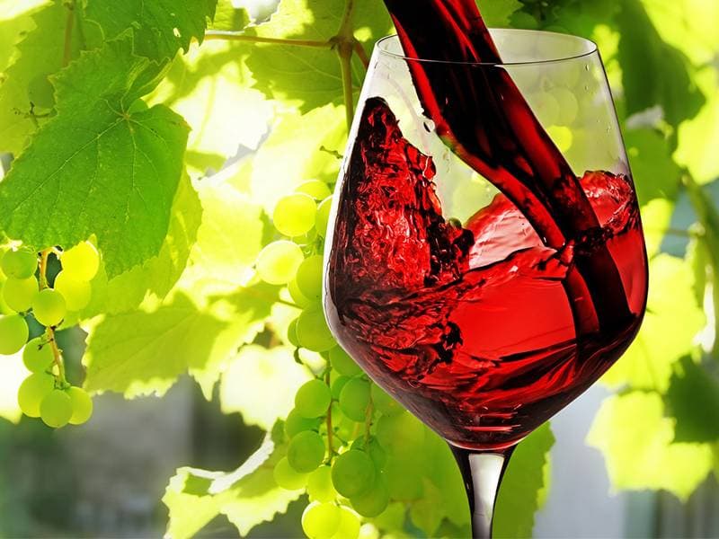 Massaggio al Vino Rosso