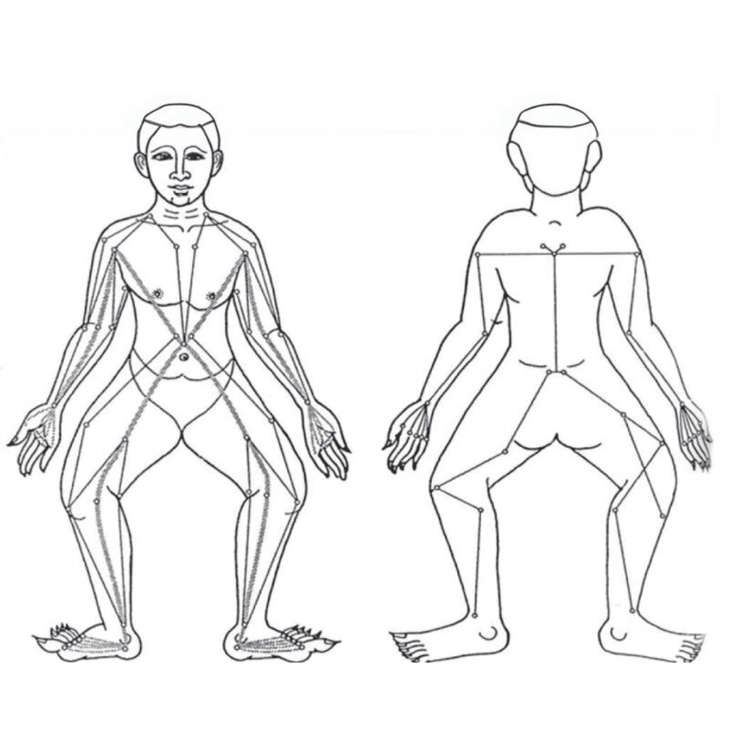 Le Linee Energetiche