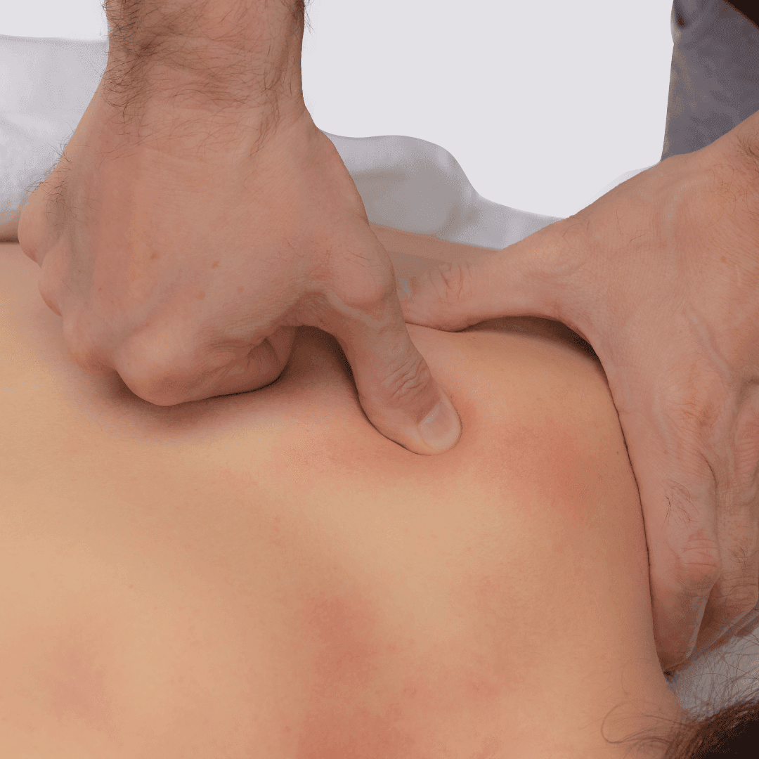 Panoramica del corso di Massaggio sui Trigger Point